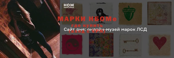 бошки Алексин