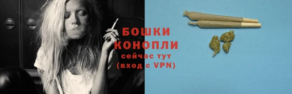 бошки Алексин