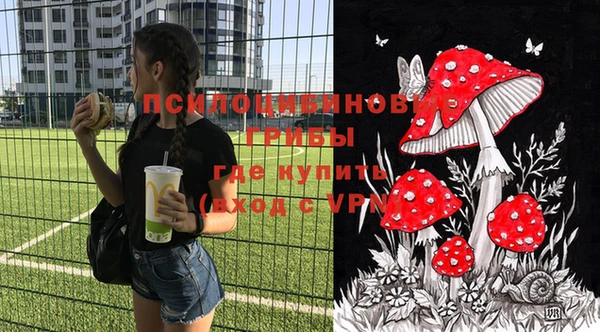 бошки Алексин