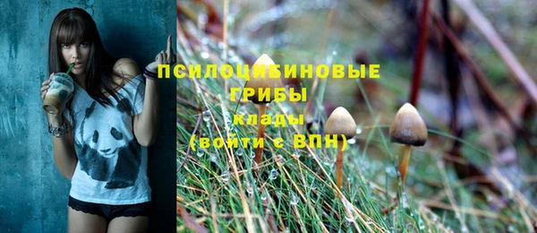 СК Алзамай