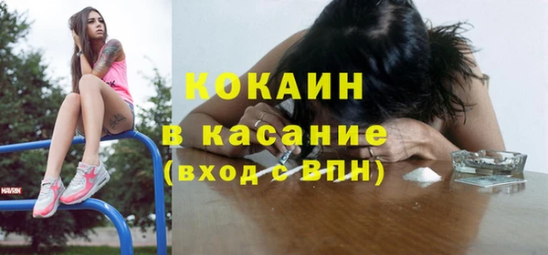 бошки Алексин