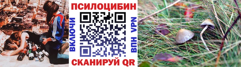Галлюциногенные грибы Psilocybine cubensis  продажа наркотиков  Коркино 